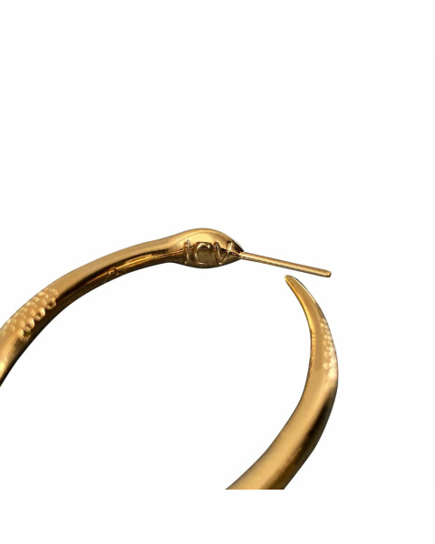 Aeterna Earrings Aeterna Earrings