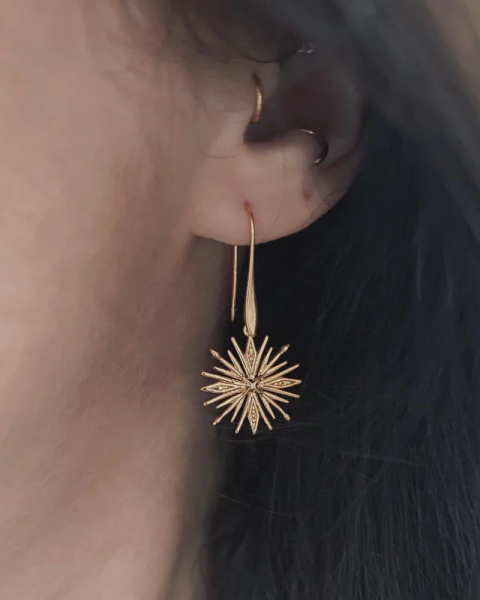 Hoshi Earrings Hoshi Earrings