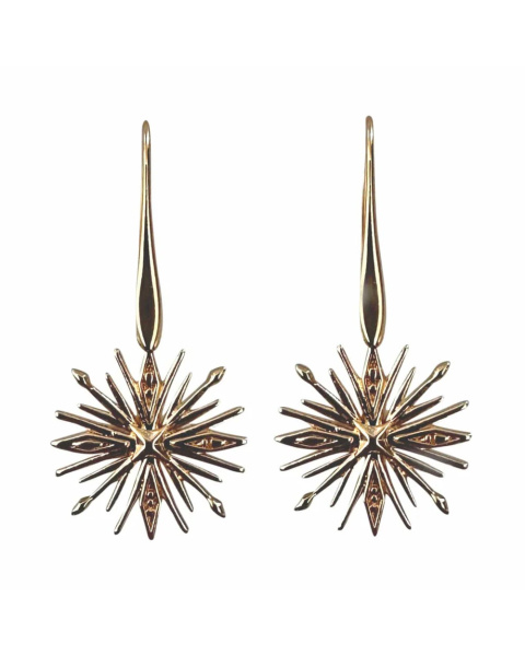Hoshi Earrings Hoshi Earrings