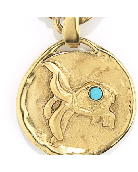 Collier Astro Poisson
